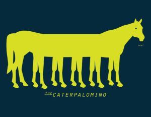 day 63: caterpalomino
