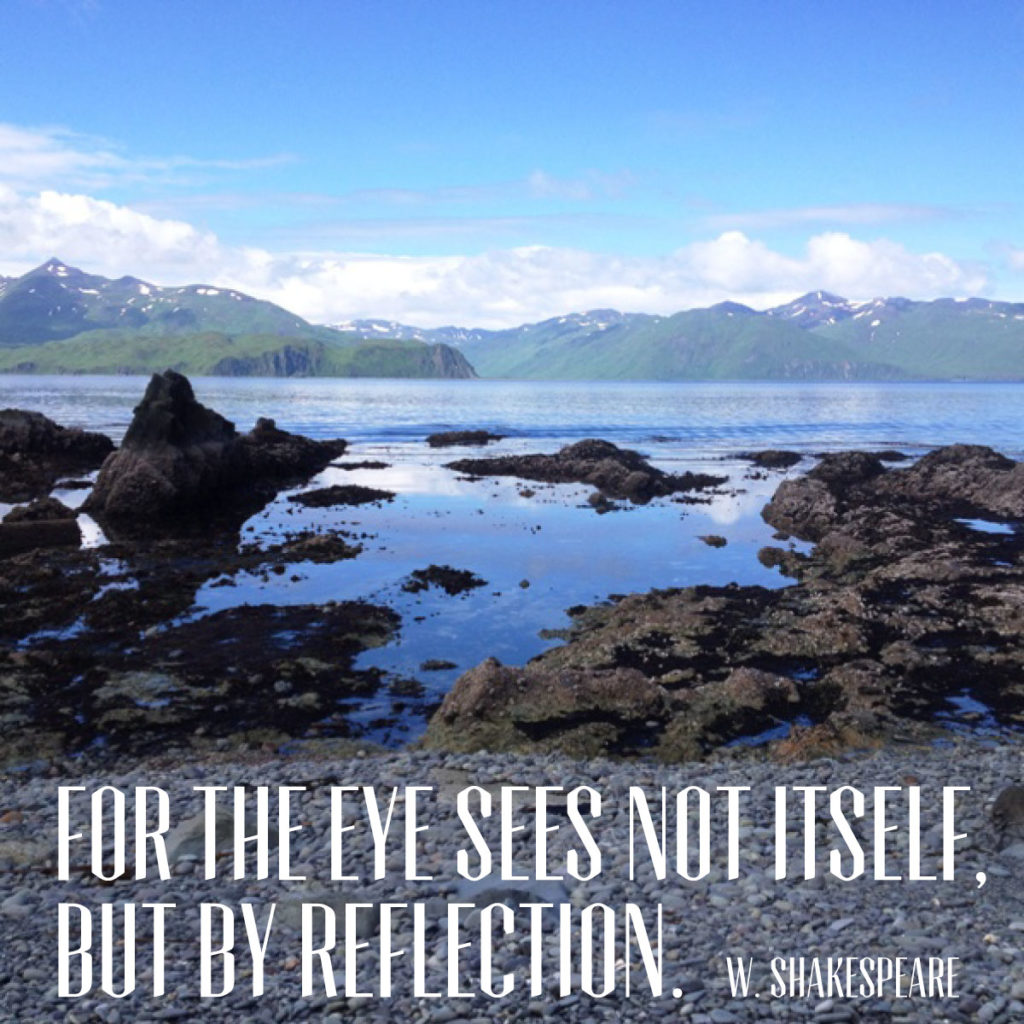 For the eye sees not itself but by reflection. William Shakespeare
