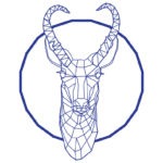 Pronghorn antelope design by Emily Longbrake