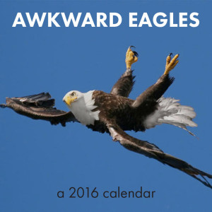 day 332: awkward eagles