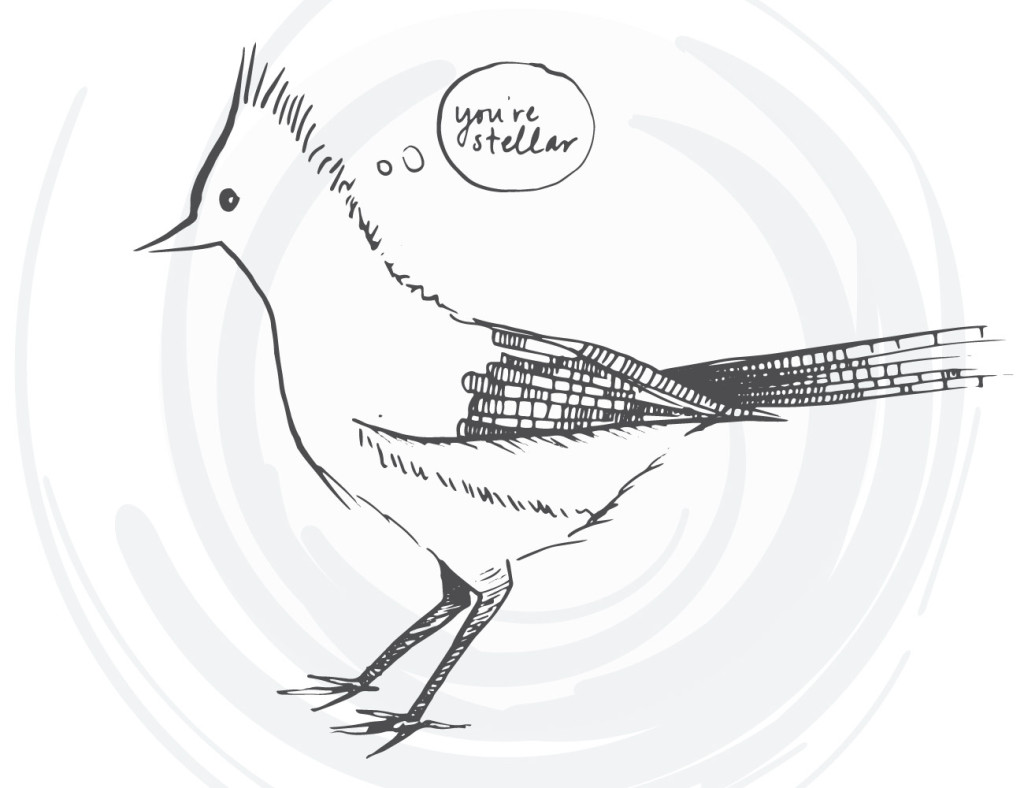 bird-cards-web-05