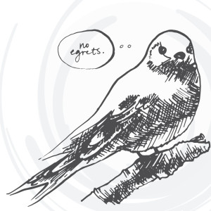 day 296: bird illustrations, part 2