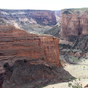 Canyon de Chelly & Petrified Forest National Park