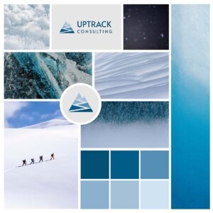 UpTrack Consulting mood board