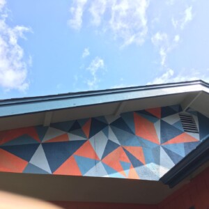 Orange House Custom Home Exterior Painting